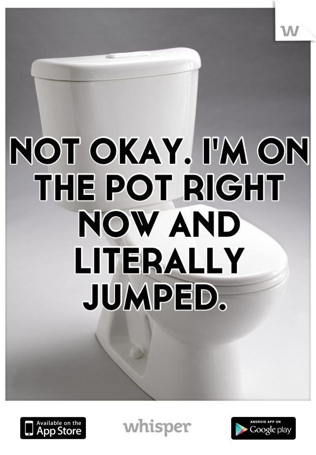 NOT OKAY. I'M ON THE POT RIGHT NOW AND LITERALLY JUMPED. 