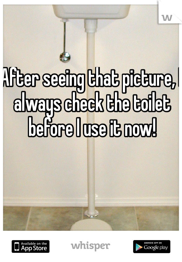 After seeing that picture, I always check the toilet before I use it now!