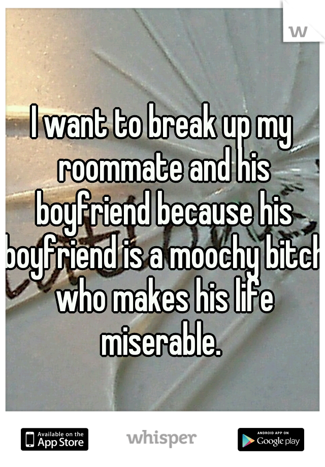 I want to break up my roommate and his boyfriend because his boyfriend is a moochy bitch who makes his life miserable. 