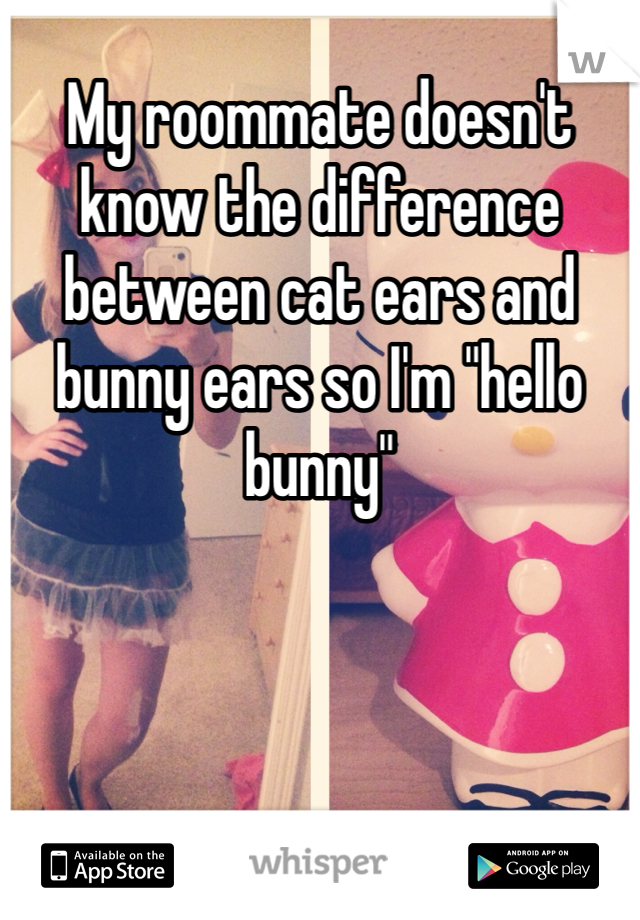 My roommate doesn't know the difference between cat ears and bunny ears so I'm "hello bunny"