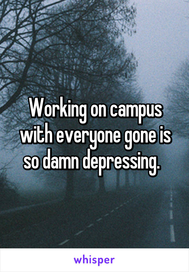 Working on campus with everyone gone is so damn depressing.  