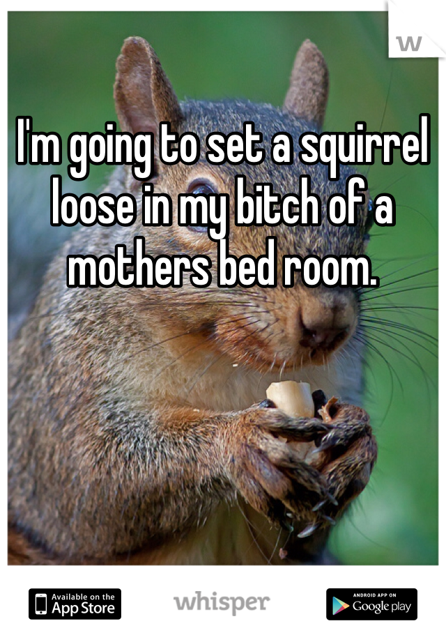 I'm going to set a squirrel loose in my bitch of a mothers bed room. 