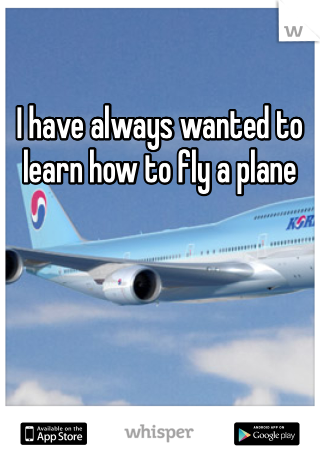I have always wanted to learn how to fly a plane 