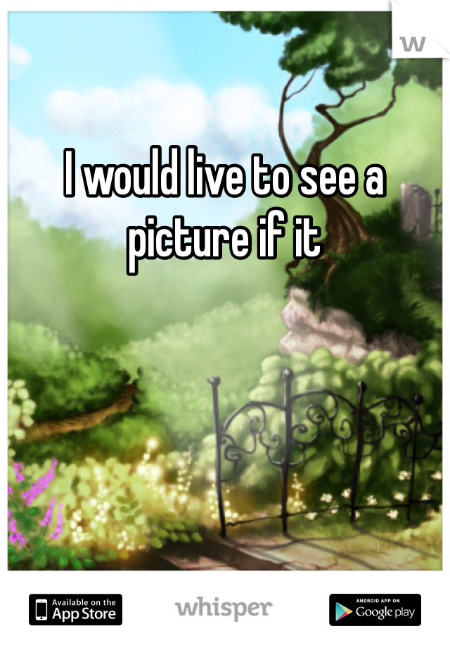I would live to see a picture if it