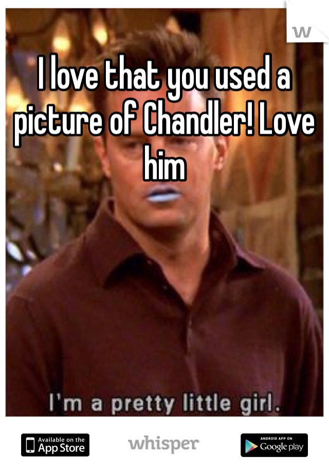 I love that you used a picture of Chandler! Love him