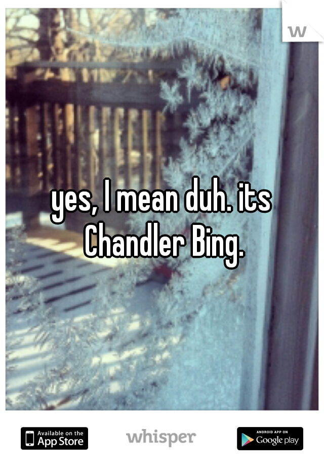 yes, I mean duh. its Chandler Bing.