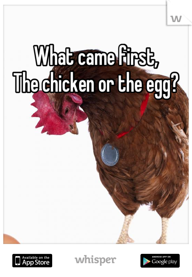 What came first,
The chicken or the egg?