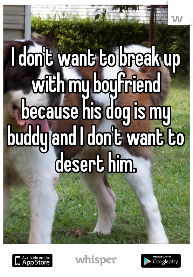 I don't want to break up with my boyfriend because his dog is my buddy and I don't want to desert him.