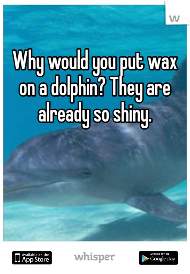 Why would you put wax on a dolphin? They are already so shiny.