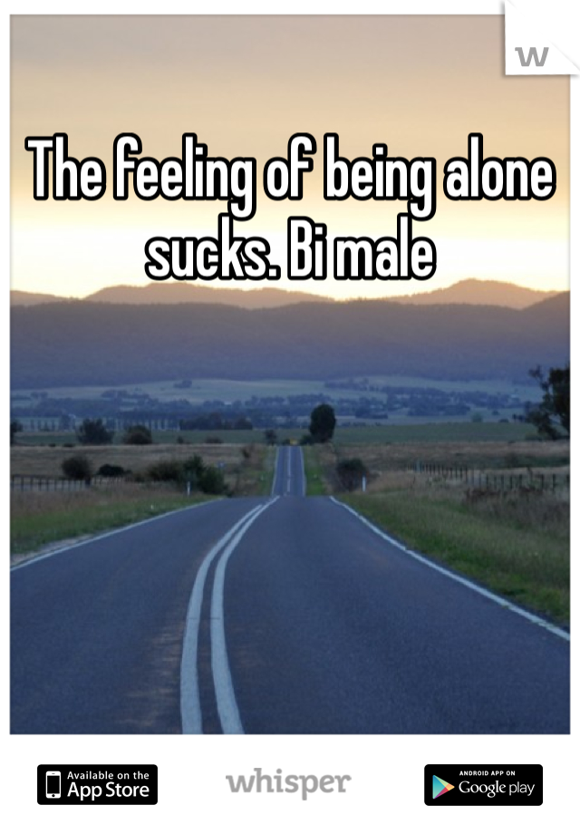 The feeling of being alone sucks. Bi male 