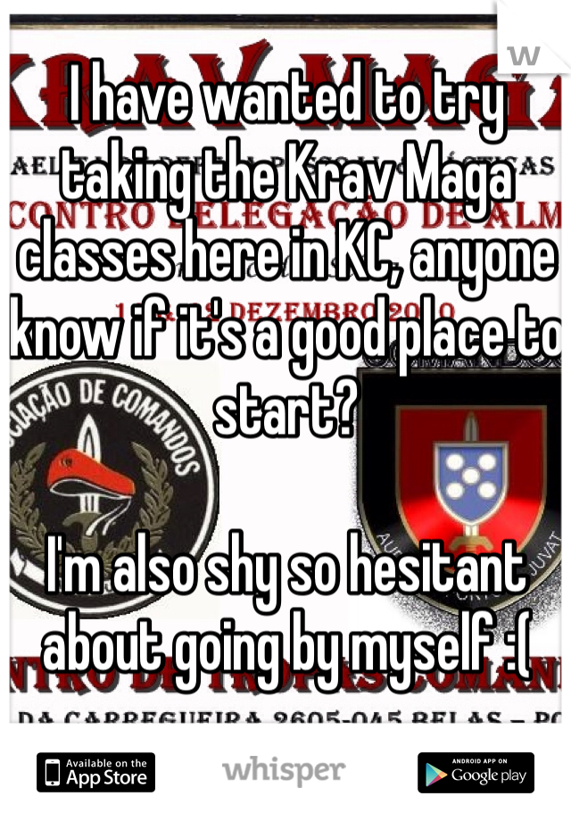 I have wanted to try taking the Krav Maga classes here in KC, anyone know if it's a good place to start?

I'm also shy so hesitant about going by myself :(