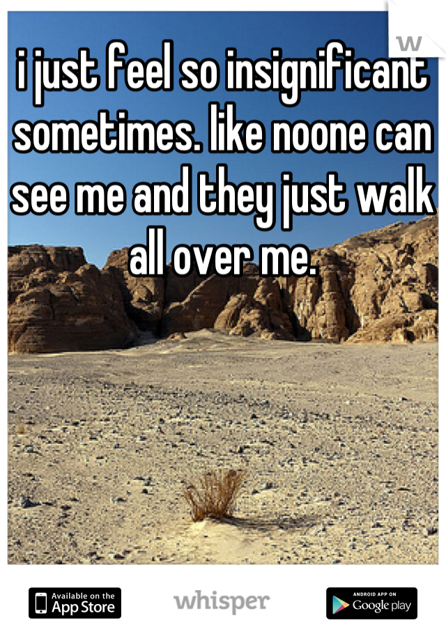 i just feel so insignificant sometimes. like noone can see me and they just walk all over me.
