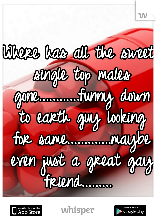 Where has all the sweet single top males gone............funny down to earth guy looking for same.............maybe even just a great gay friend......... 