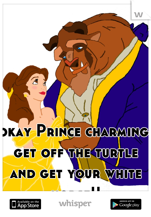 okay Prince charming get off the turtle and get your white horse!!