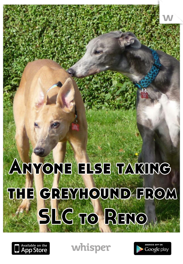 Anyone else taking the greyhound from SLC to Reno tonight?