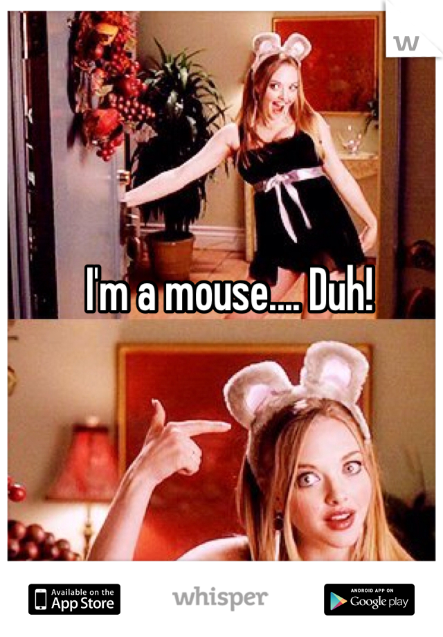 I'm a mouse.... Duh!