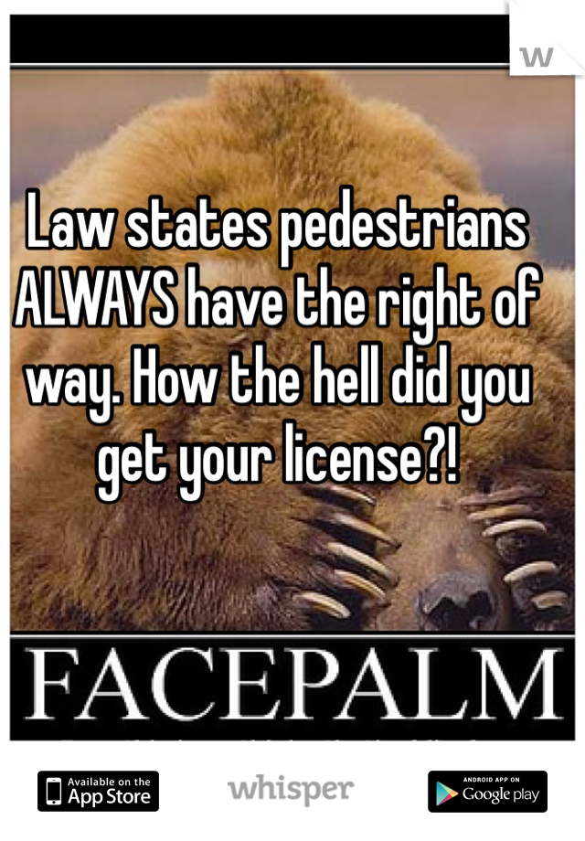 Law states pedestrians ALWAYS have the right of way. How the hell did you get your license?! 