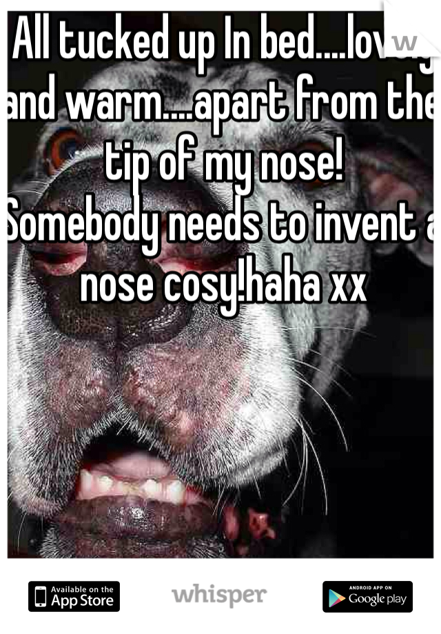 All tucked up In bed....lovely and warm....apart from the tip of my nose! 
Somebody needs to invent a nose cosy!haha xx