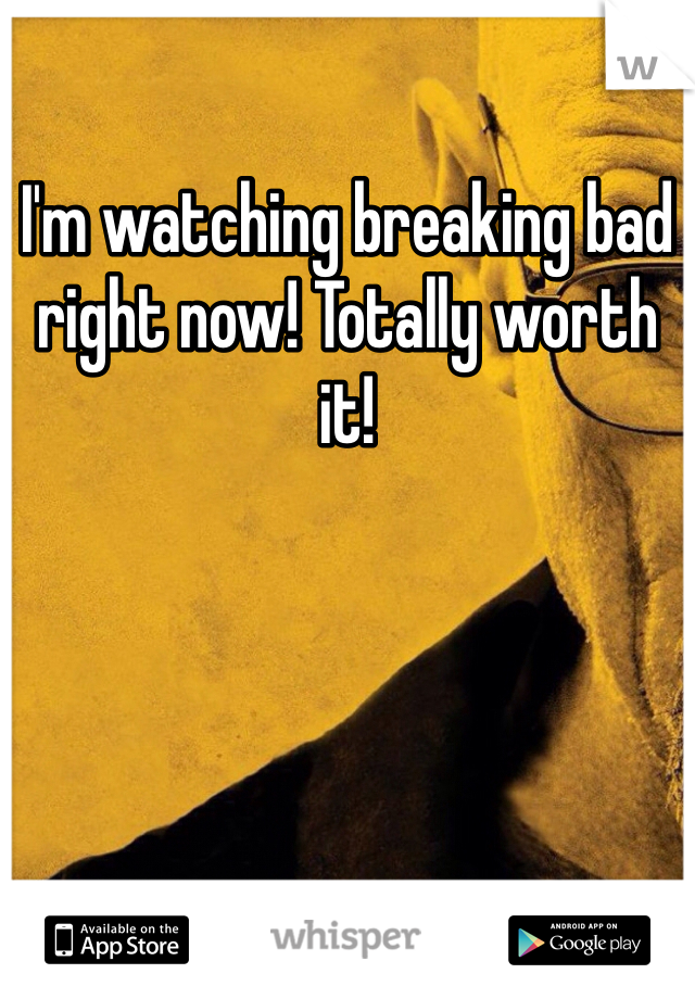 I'm watching breaking bad right now! Totally worth it!