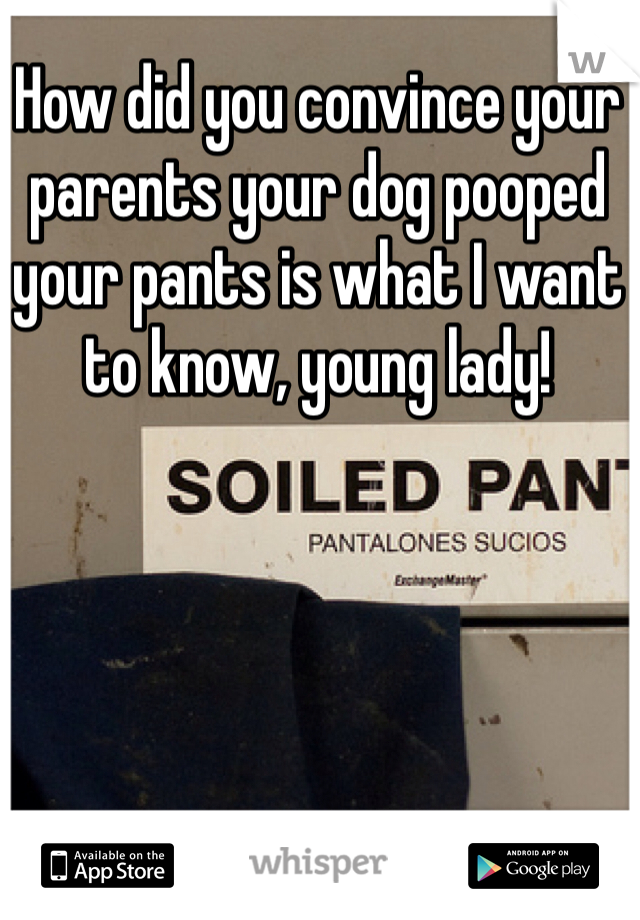 How did you convince your parents your dog pooped your pants is what I want to know, young lady!