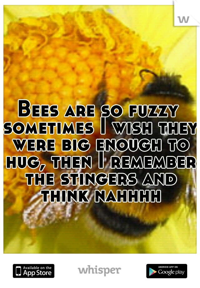 Bees are so fuzzy sometimes I wish they were big enough to hug, then I remember the stingers and think nahhhh