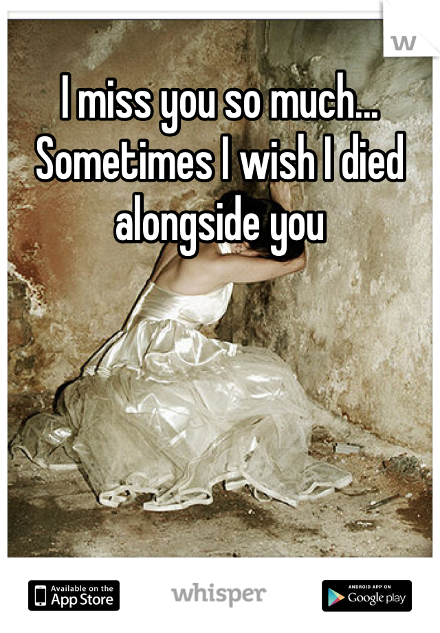 I miss you so much... Sometimes I wish I died alongside you