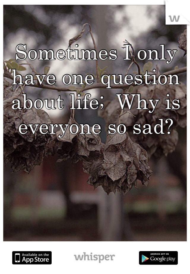Sometimes I only have one question about life;  Why is everyone so sad? 