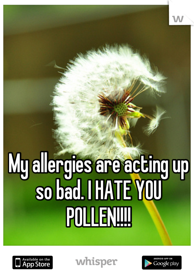 My allergies are acting up so bad. I HATE YOU POLLEN!!!!