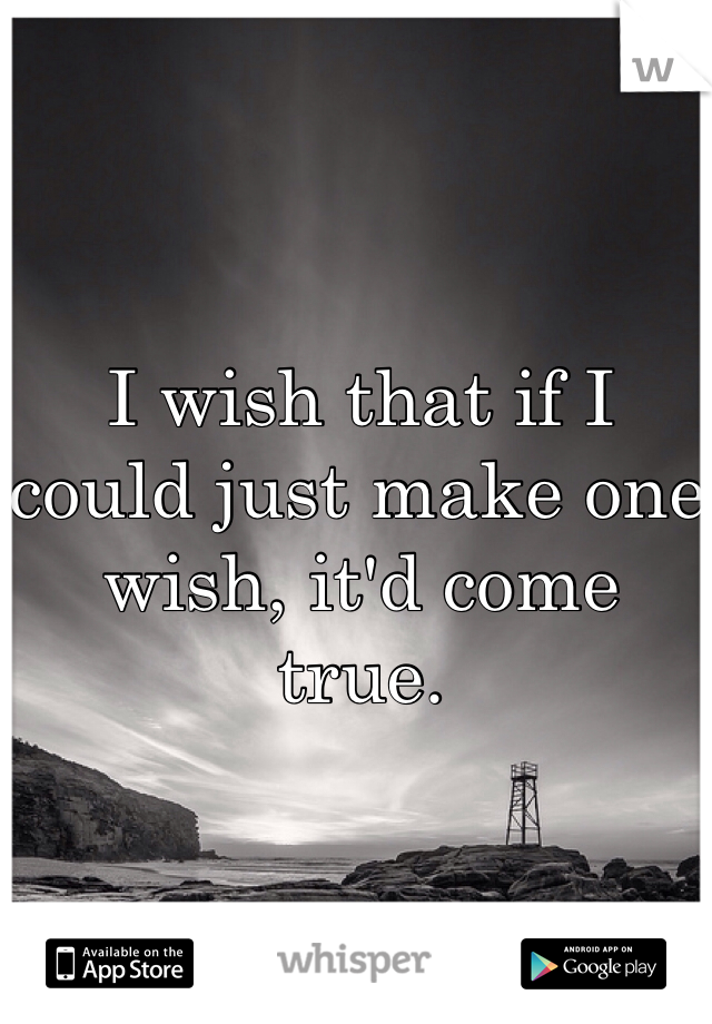 I wish that if I could just make one wish, it'd come true. 