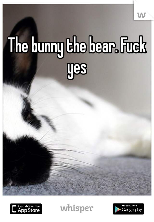 The bunny the bear. Fuck yes