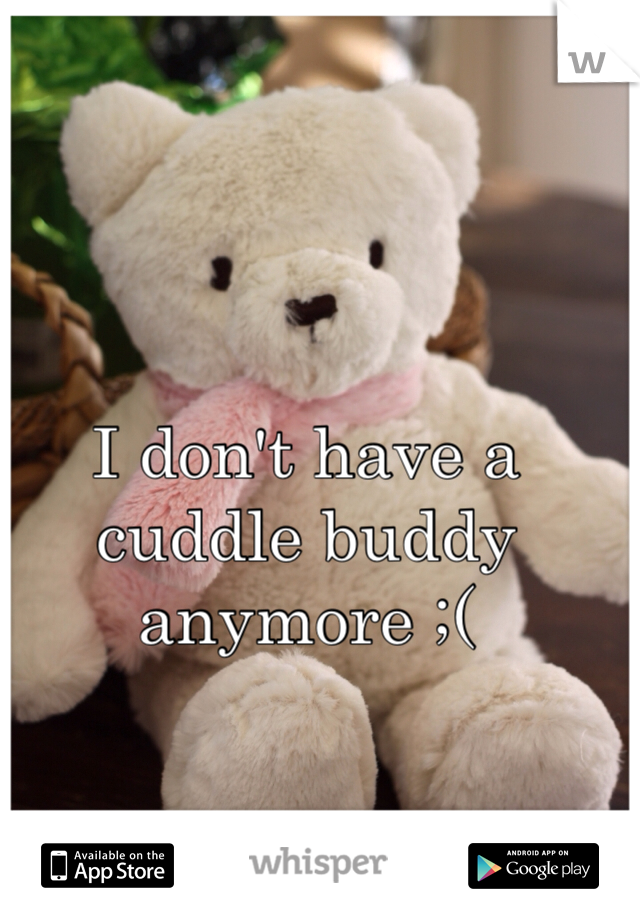 I don't have a cuddle buddy anymore ;(