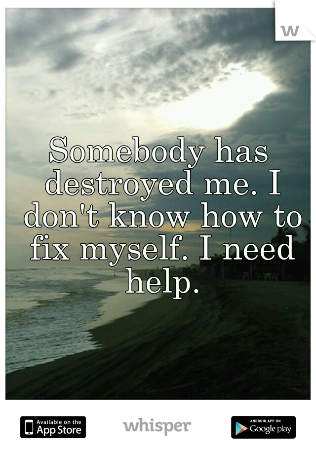 Somebody has destroyed me. I don't know how to fix myself. I need help.