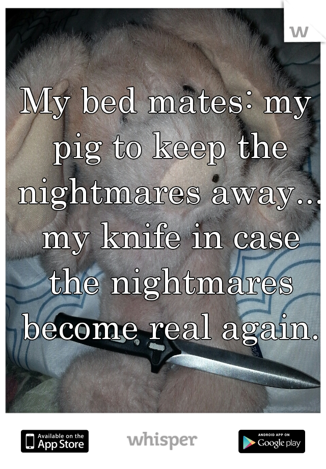 My bed mates: my pig to keep the nightmares away... my knife in case the nightmares become real again.
