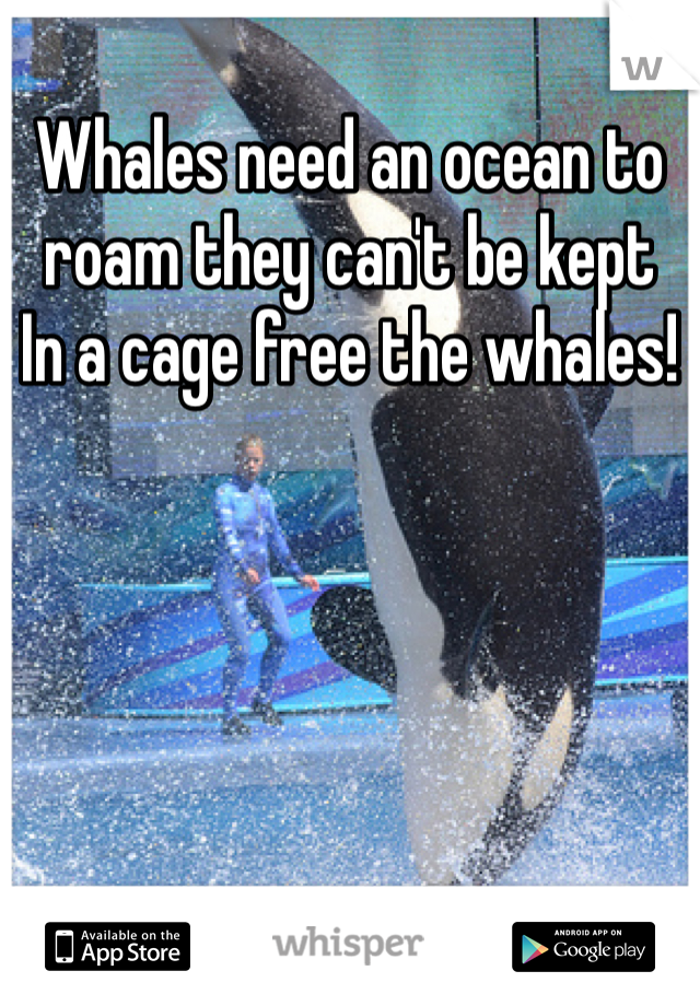 Whales need an ocean to roam they can't be kept
In a cage free the whales!