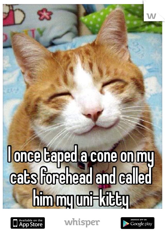 I once taped a cone on my cats forehead and called him my uni-kitty 