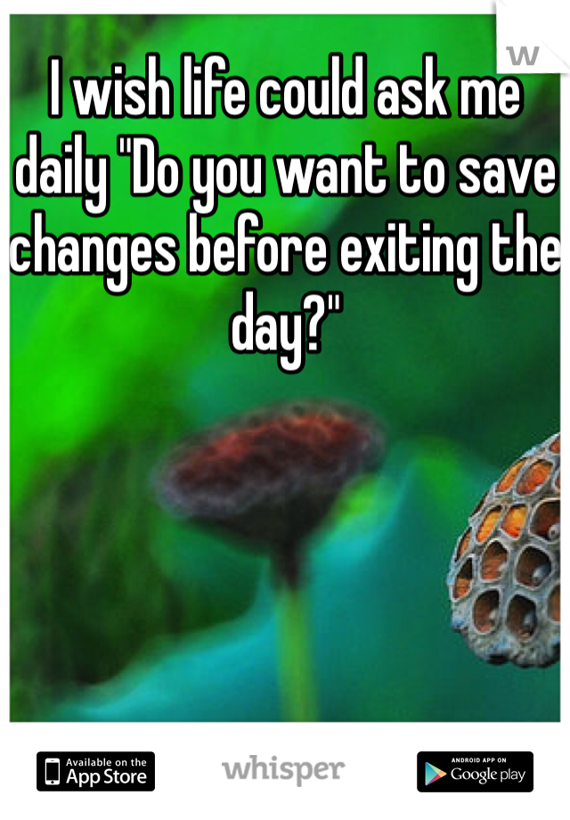 I wish life could ask me daily "Do you want to save changes before exiting the day?"