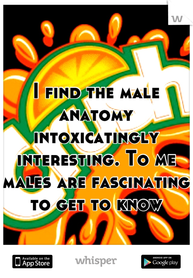 I find the male anatomy intoxicatingly interesting. To me males are fascinating to get to know