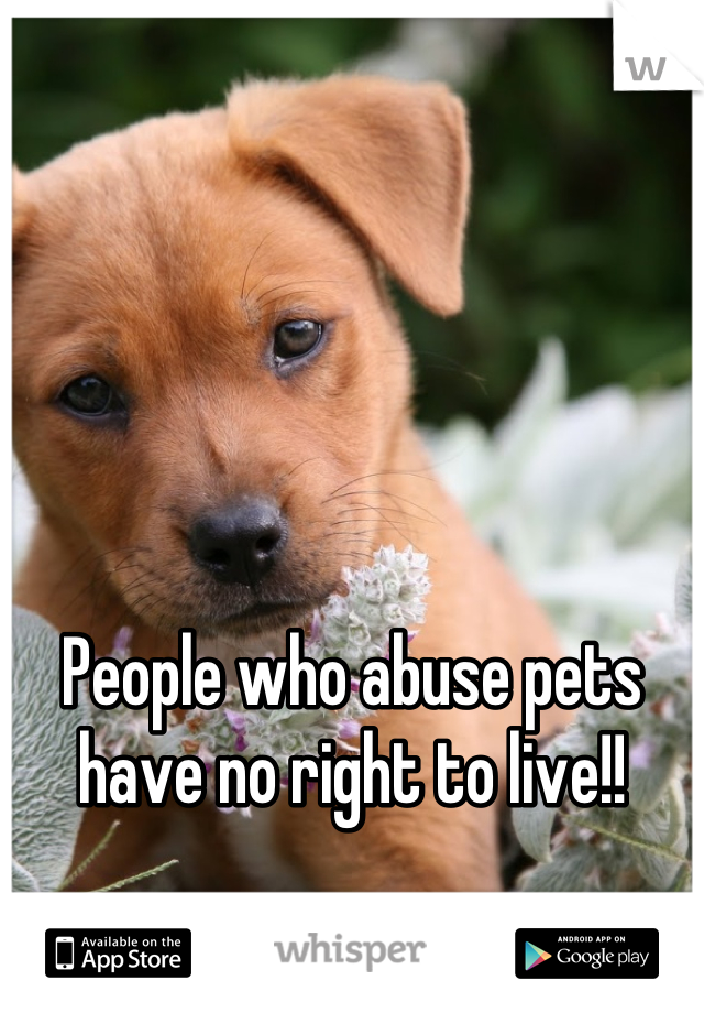 People who abuse pets have no right to live!!