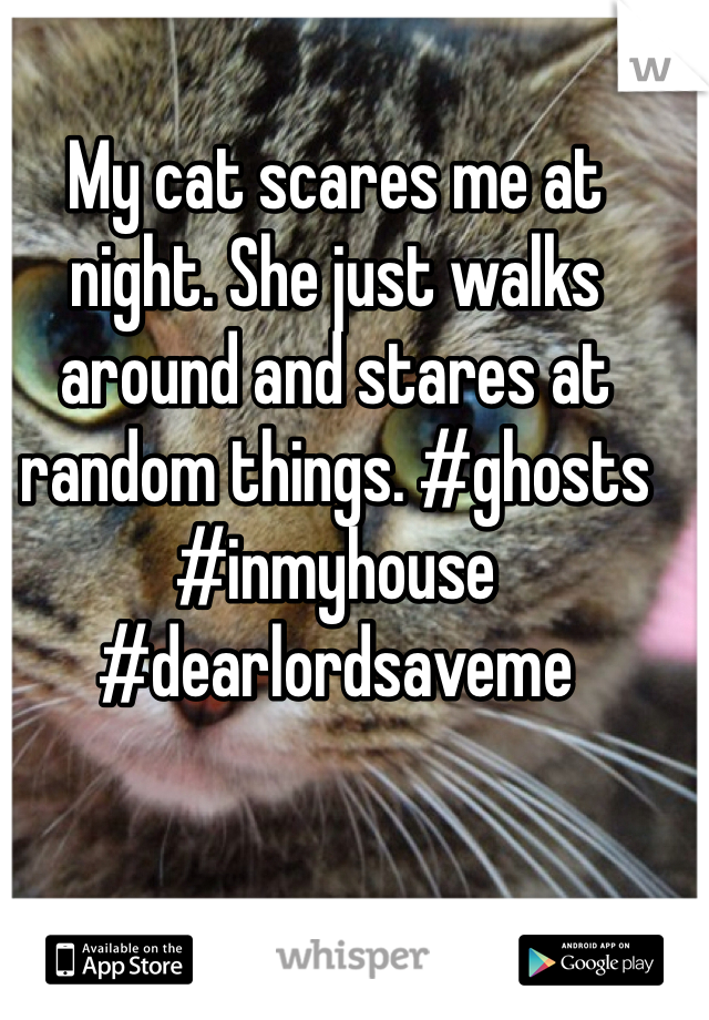My cat scares me at night. She just walks around and stares at random things. #ghosts #inmyhouse #dearlordsaveme