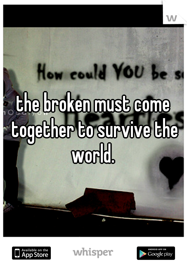 the broken must come together to survive the world. 