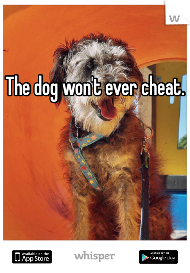 The dog won't ever cheat.