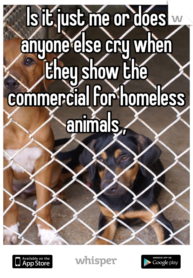 Is it just me or does anyone else cry when they show the commercial for homeless animals ,