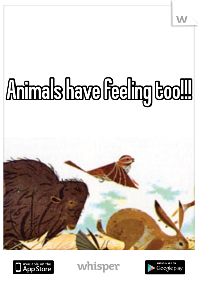 Animals have feeling too!!! 