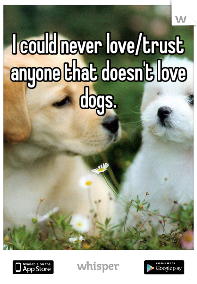 I could never love/trust anyone that doesn't love dogs. 