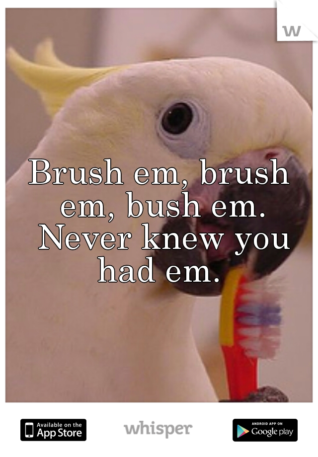 Brush em, brush em, bush em. Never knew you had em. 