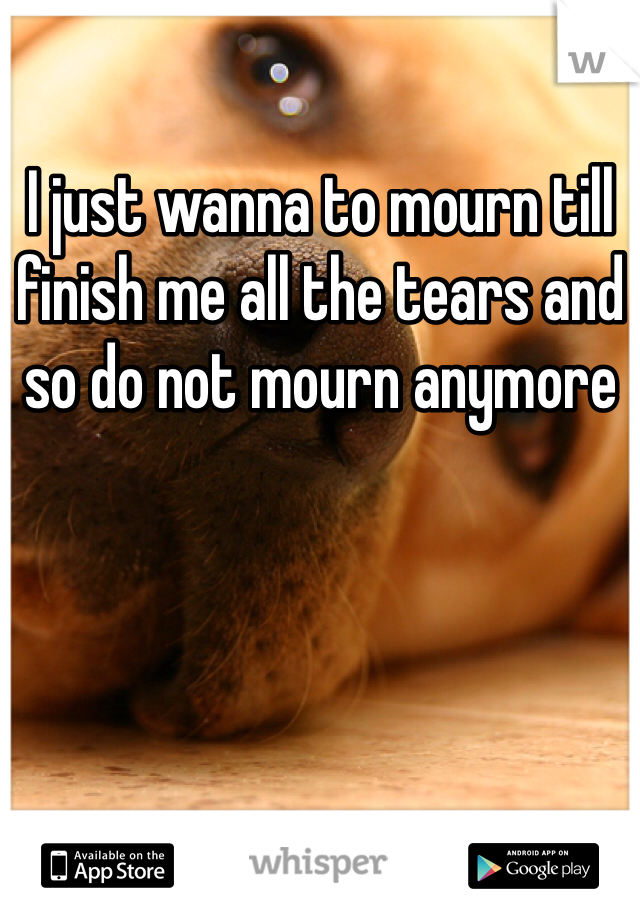 I just wanna to mourn till finish me all the tears and so do not mourn anymore