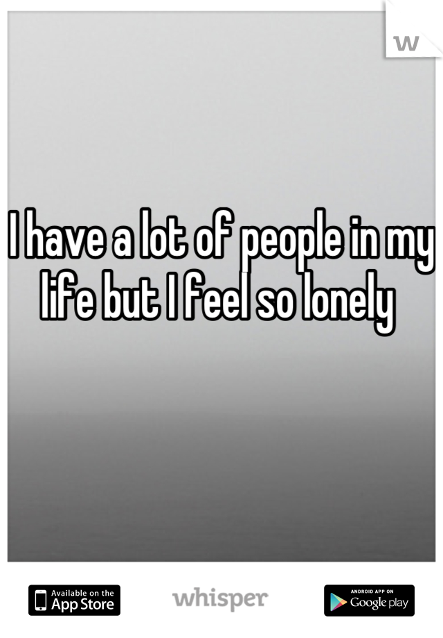 I have a lot of people in my life but I feel so lonely 
