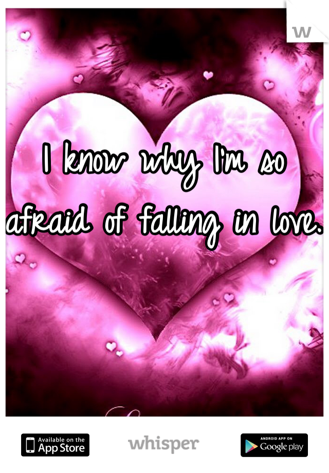 I know why I'm so afraid of falling in love.