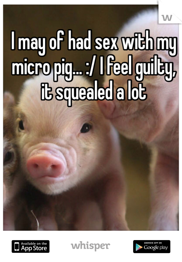 I may of had sex with my micro pig... :/ I feel guilty, it squealed a lot