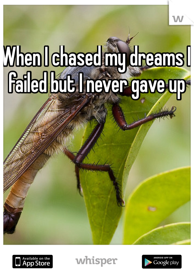 When I chased my dreams I failed but I never gave up